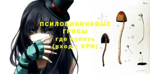 дурь Белокуриха