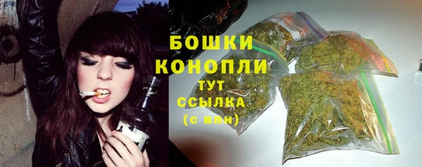 дурь Белокуриха